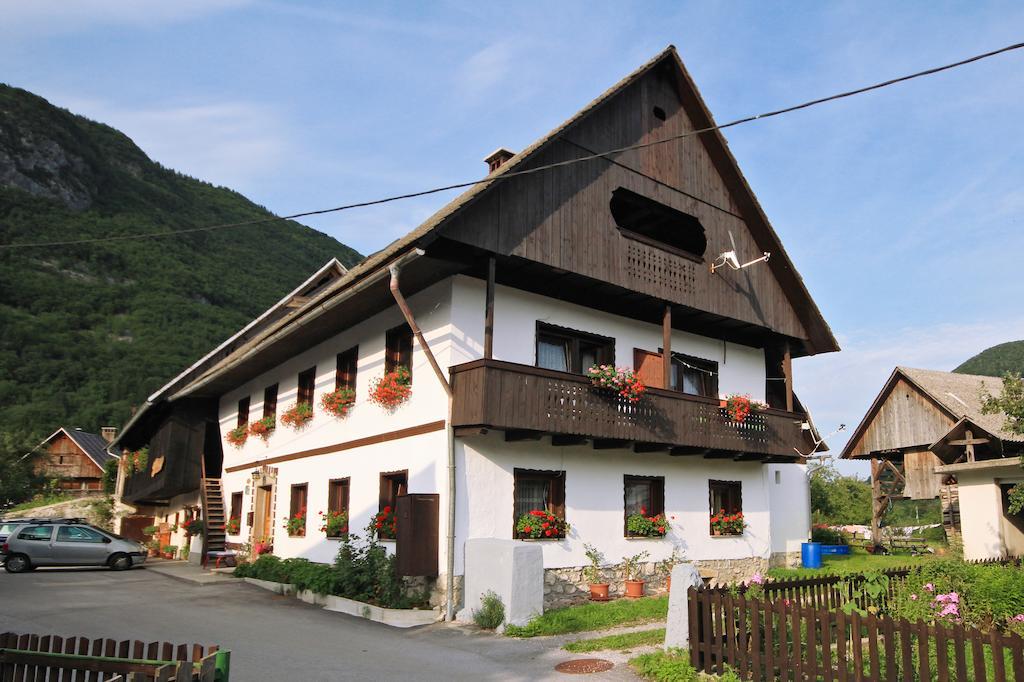 Pekovec Bohinj