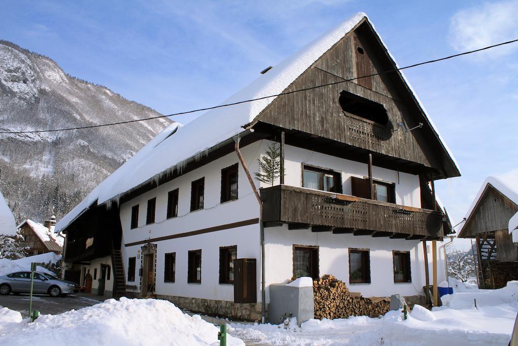 Pekovec Bohinj